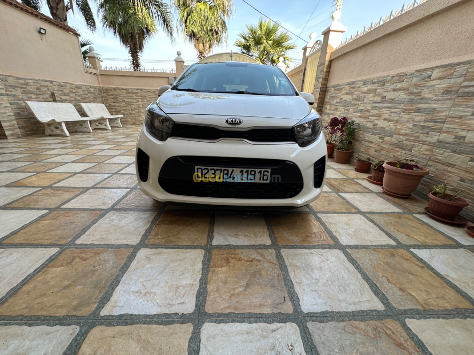 Kia Picanto 2019 LX Start