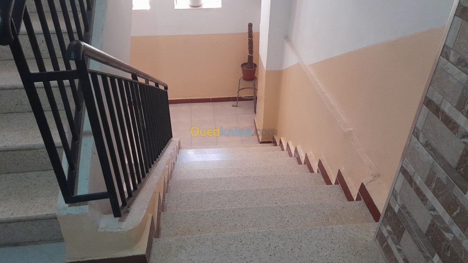 Vente Appartement F3 Alger Draria