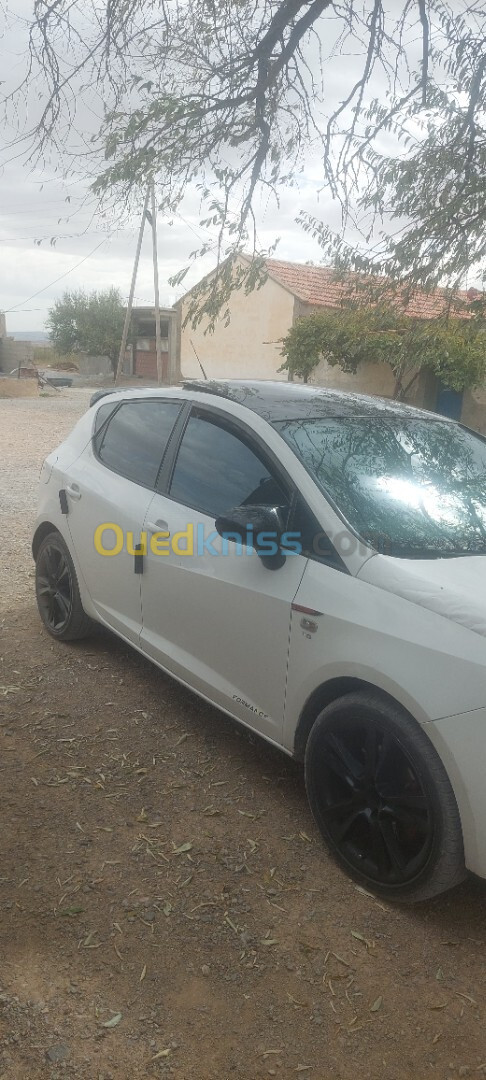 Seat Ibiza 2011 Loca