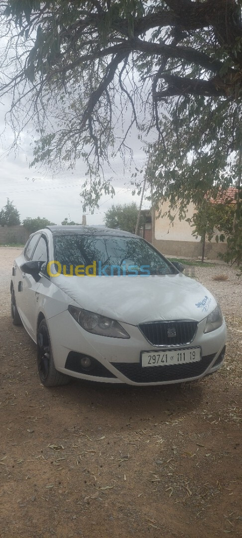 Seat Ibiza 2011 Loca