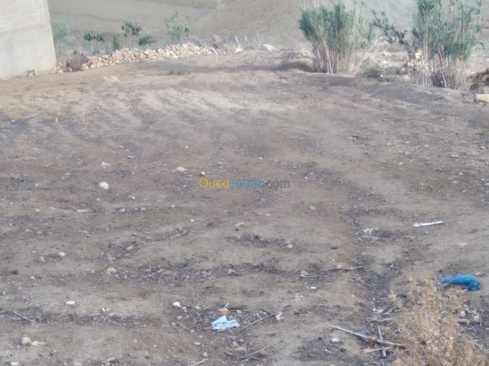 Vente Terrain Agricole Relizane Sidi mhamed ben ali