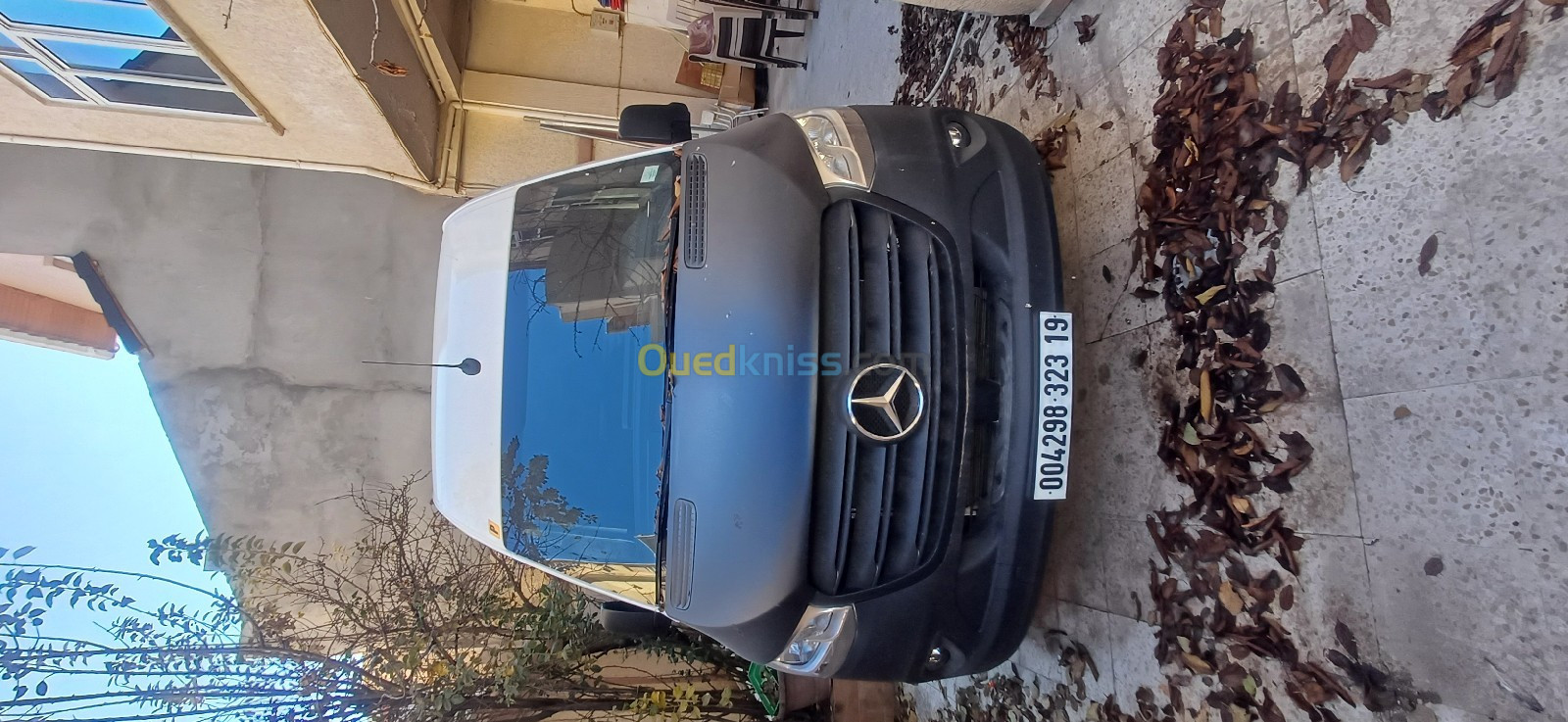 Mercedes C311 2023