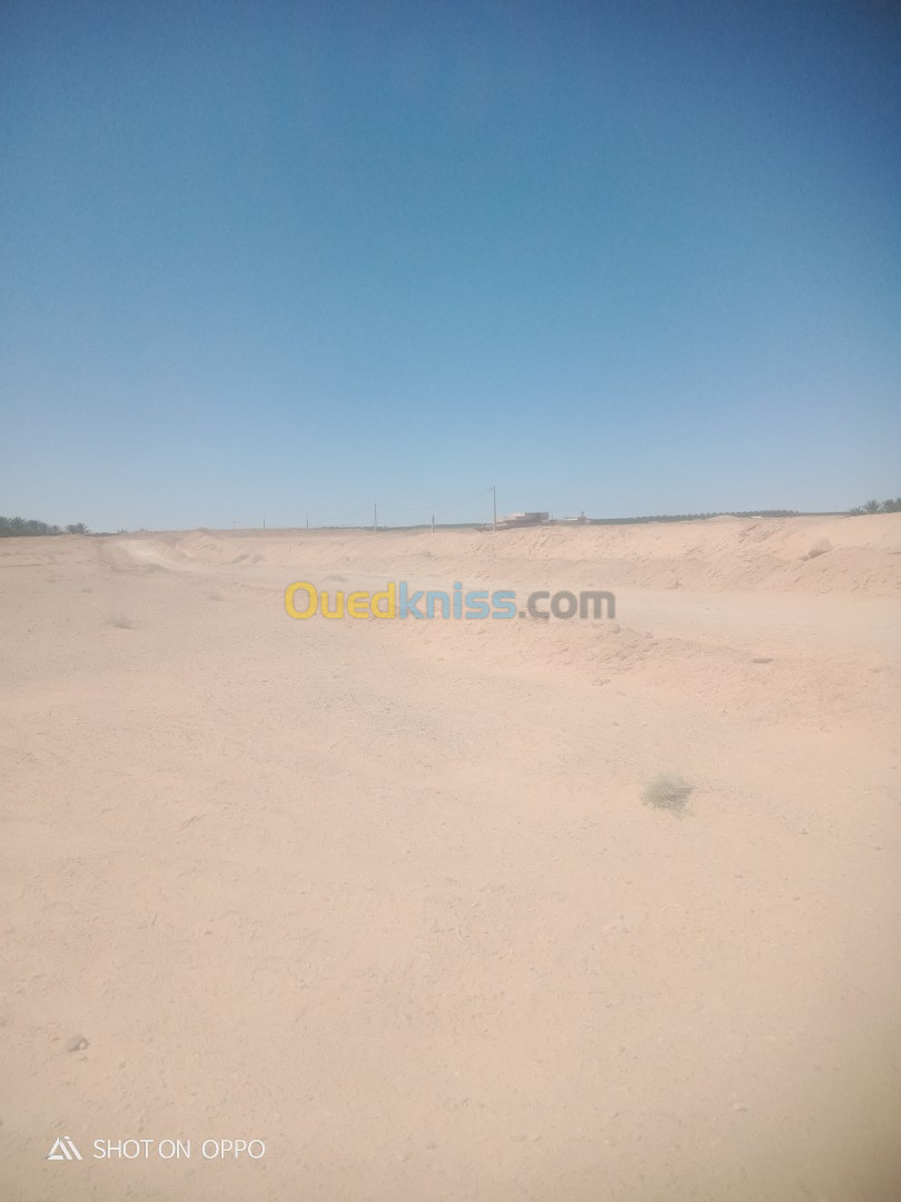 Vente Terrain Biskra Lioua