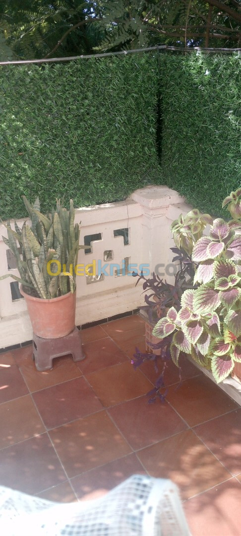 Vente Niveau De Villa F6 Tipaza Hadjout