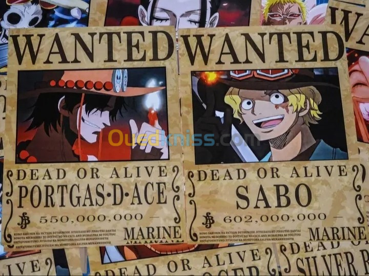 One Piece Wanted Poster 