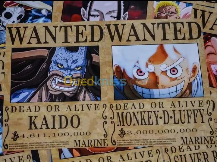 One Piece Wanted Poster 