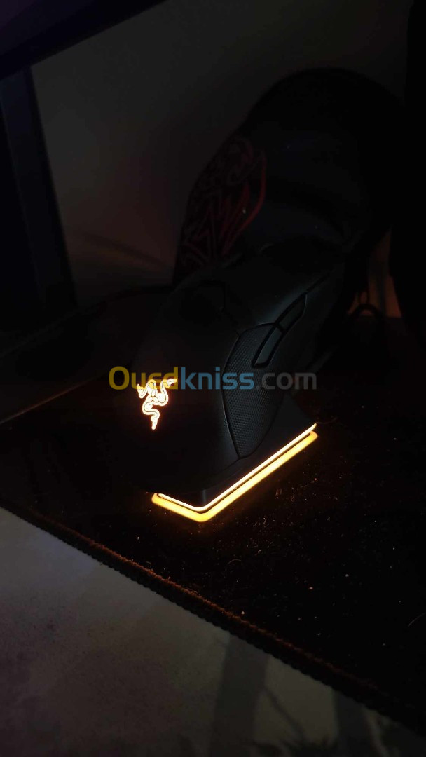 Razer Viper Ultimate Wireless High end Gaming