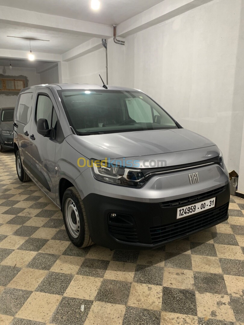 Fiat Doblo 2024 Professional