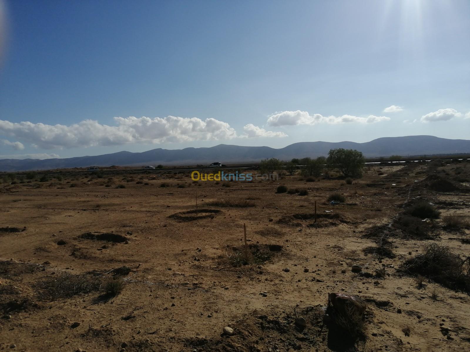 Vente Terrain Batna Seggana