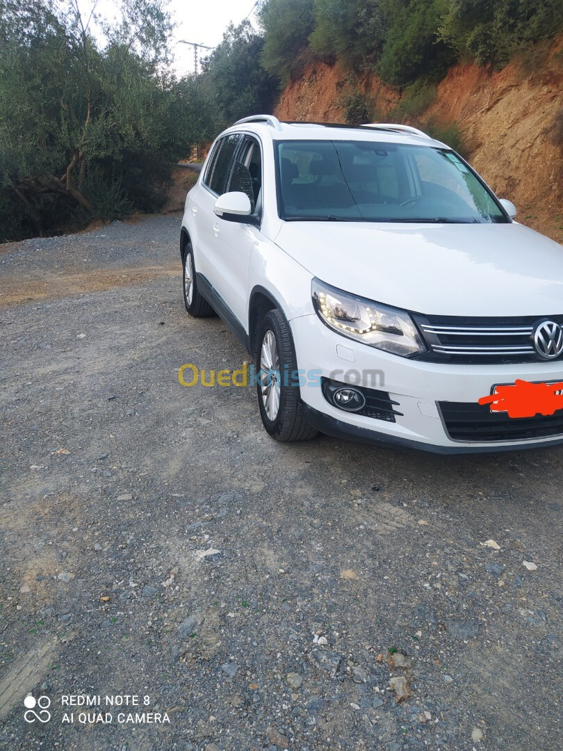 Volkswagen Tiguan 2015 Cup