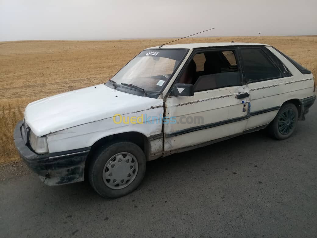 Renault 11 1987 11