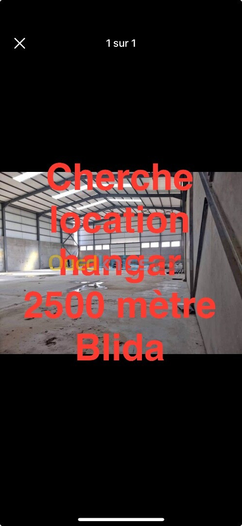 Cherche location Hangar Blida Blida