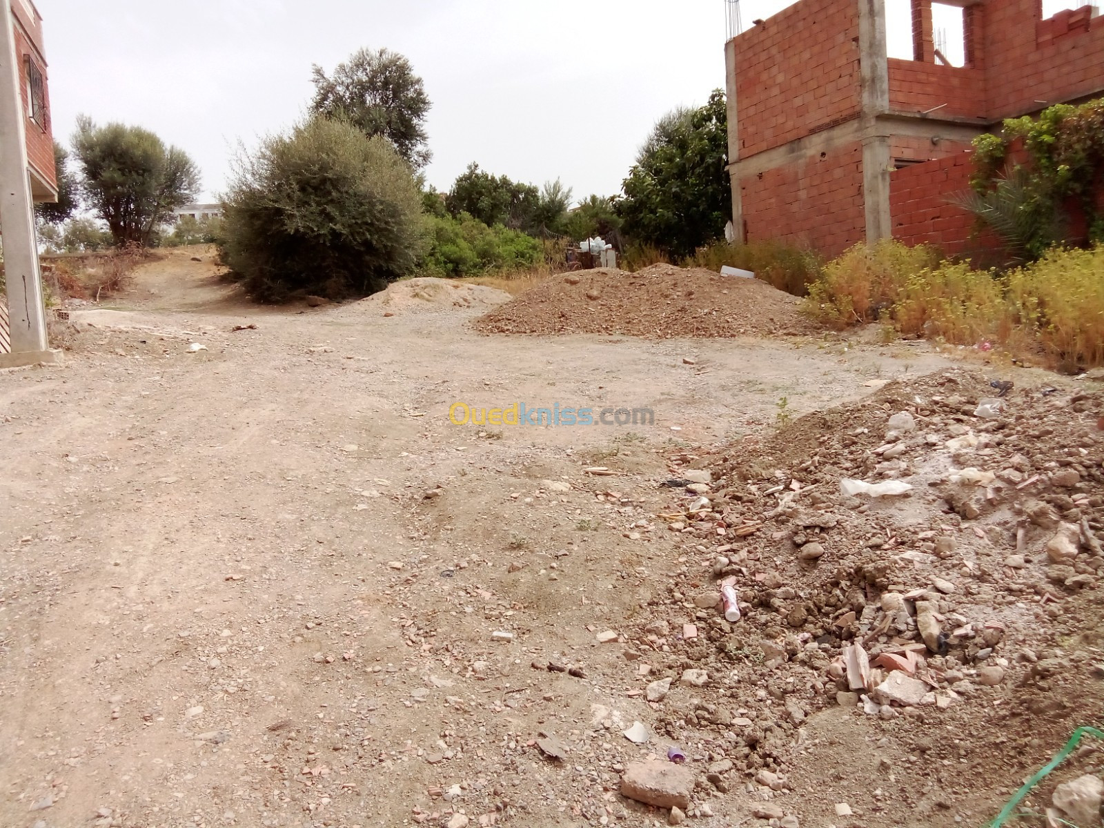 Vente Terrain Boumerdès El kharrouba