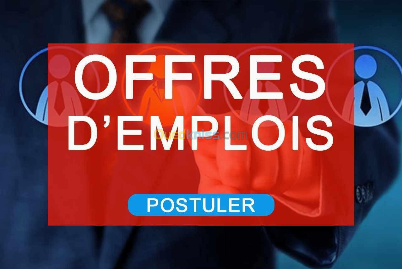 Offres d'emploi 