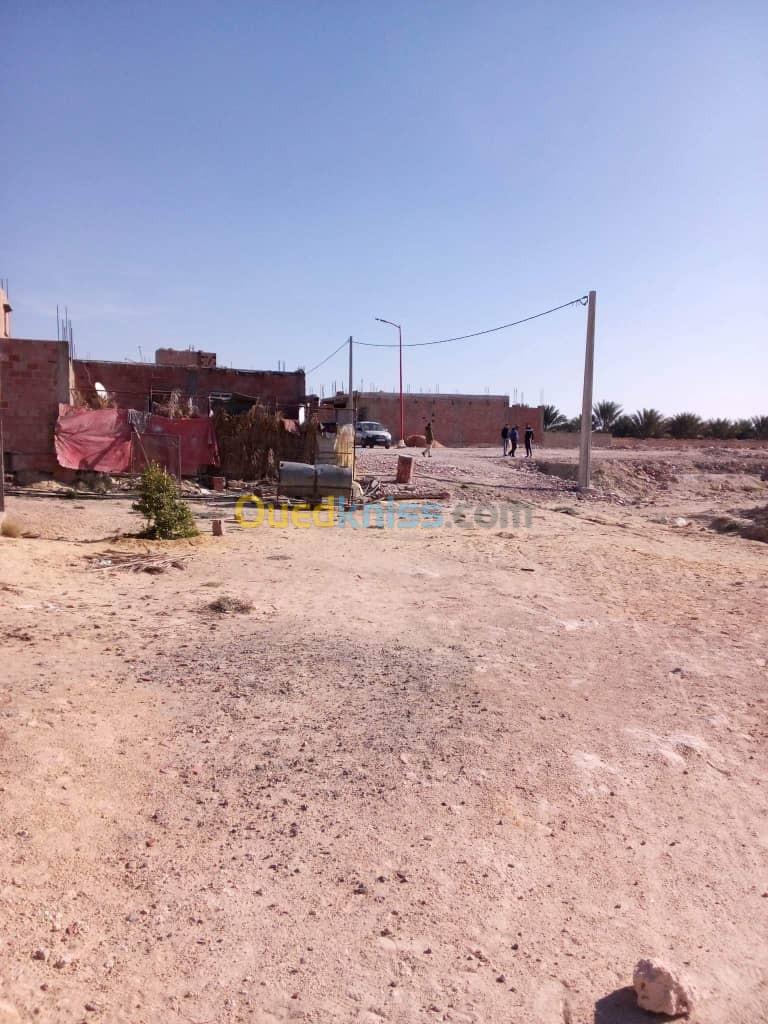 Vente Terrain Biskra Lichana