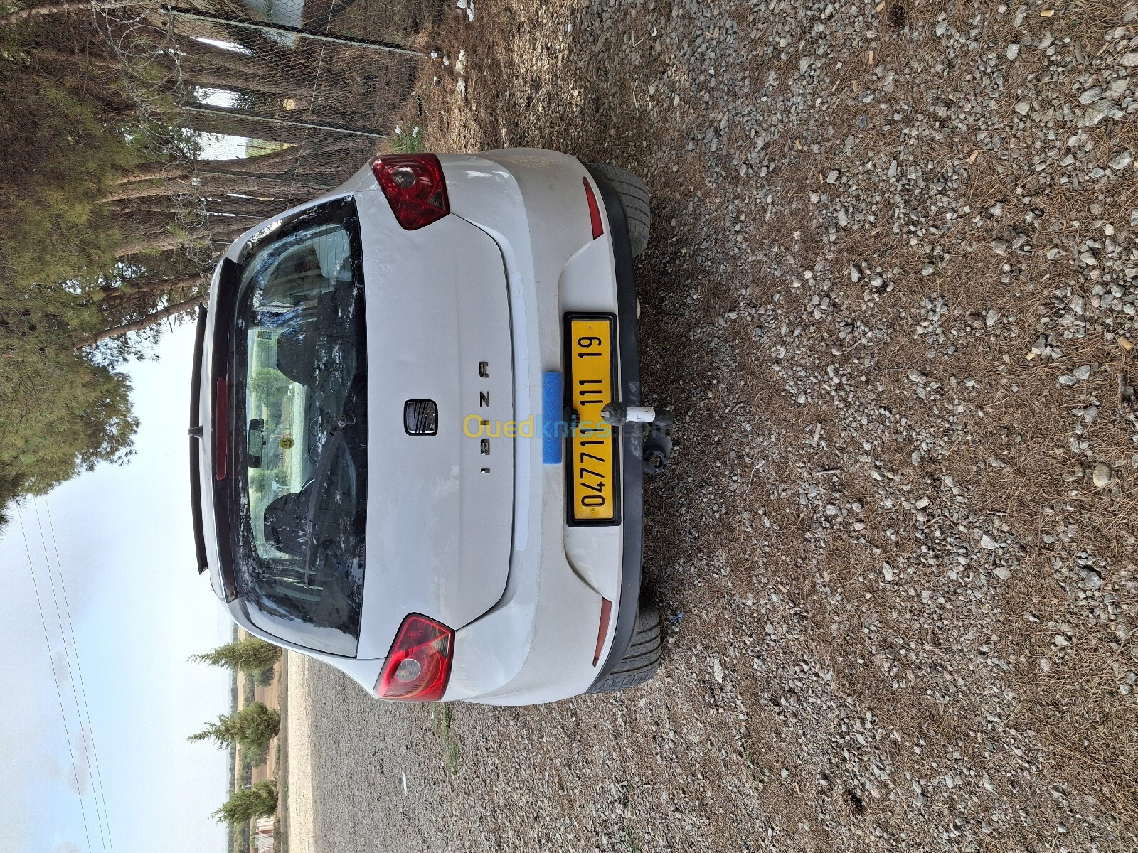 Seat Ibiza 2011 Loca