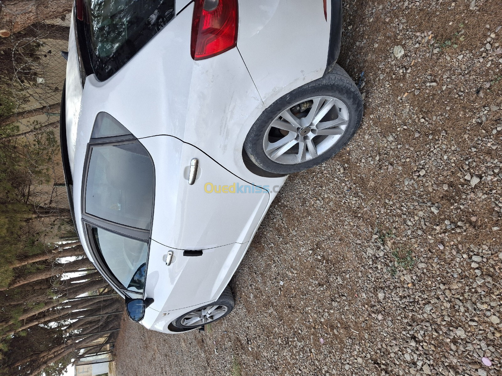 Seat Ibiza 2011 Loca