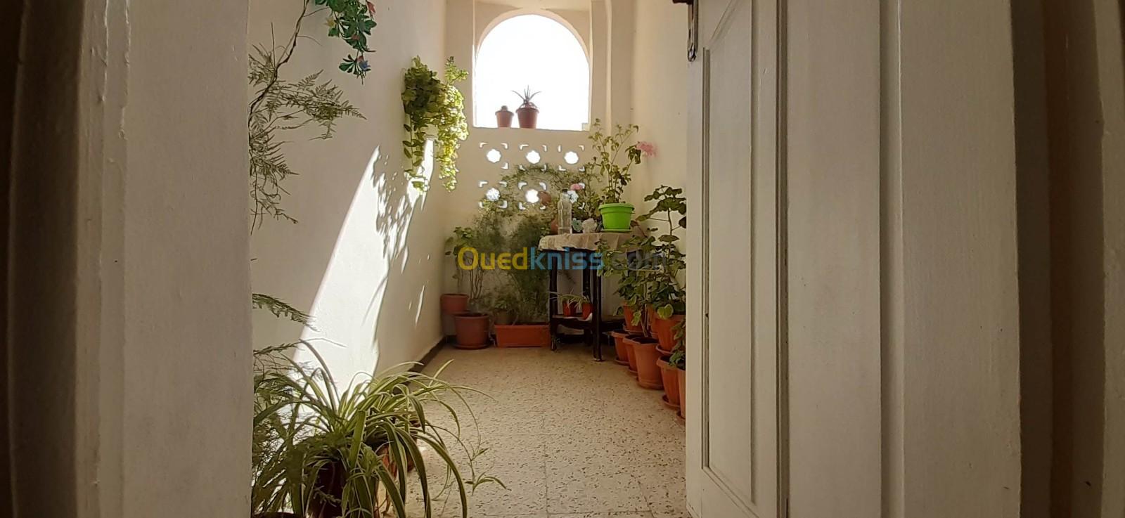 Vente Appartement F3 Djelfa Djelfa