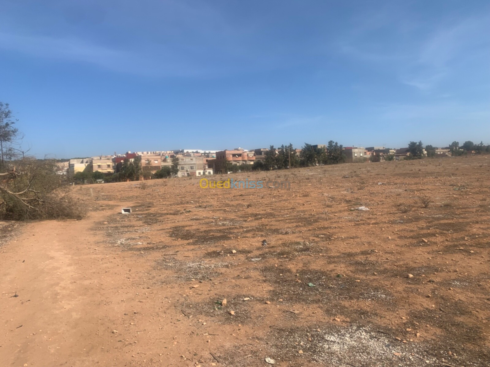 Vente Terrain Mostaganem Mesra