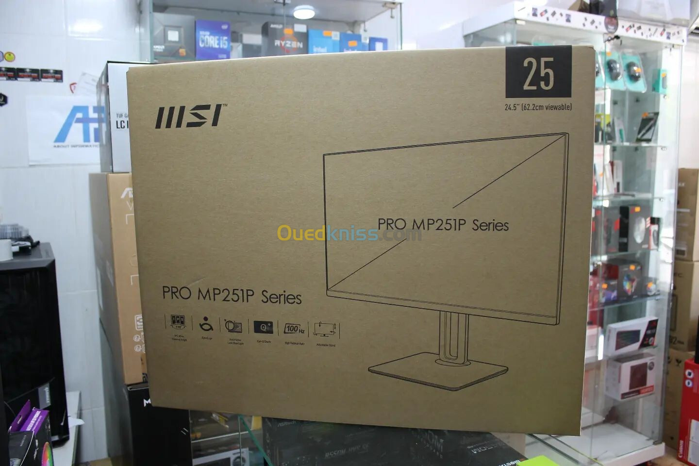 Écran MSI PRO MP251P 