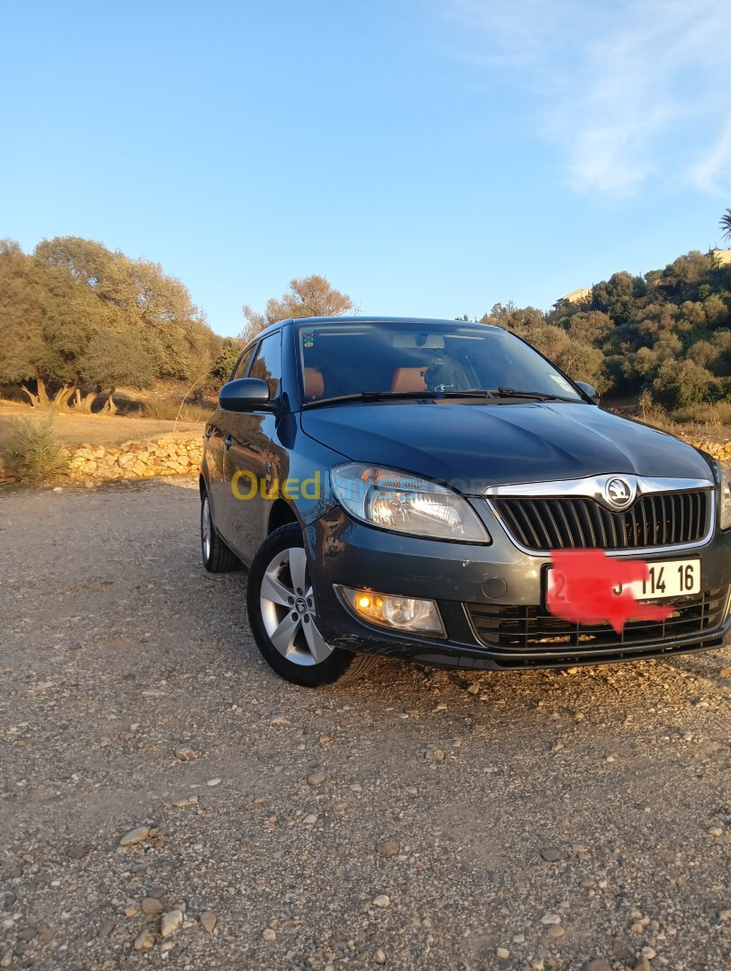 Skoda Fabia 2014 Fresh