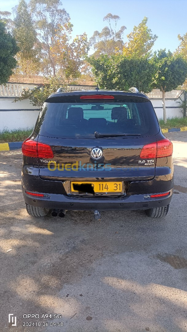 Volkswagen Tiguan 2014 CUP