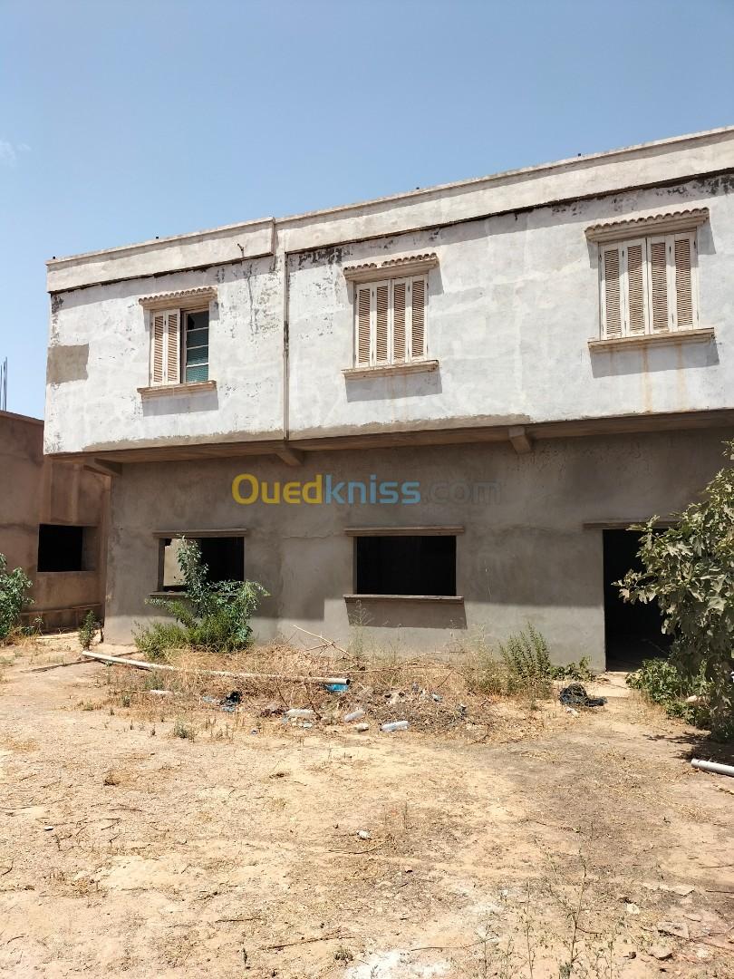 Vente bien immobilier Aïn Témouchent Hammam bouhadjar