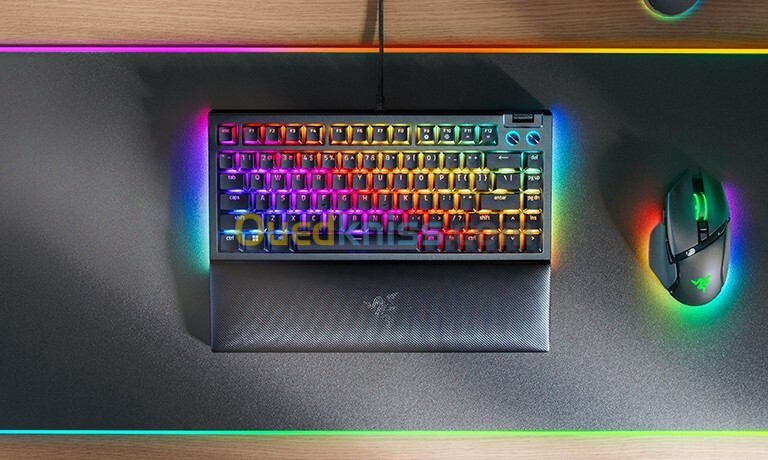 Razer BlackWidow V4 75% TACTILES ORANGE