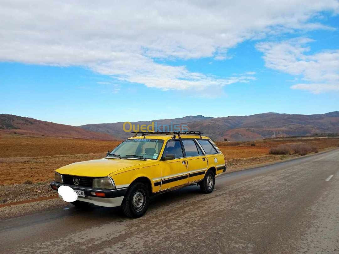 Peugeot 505 1990 505