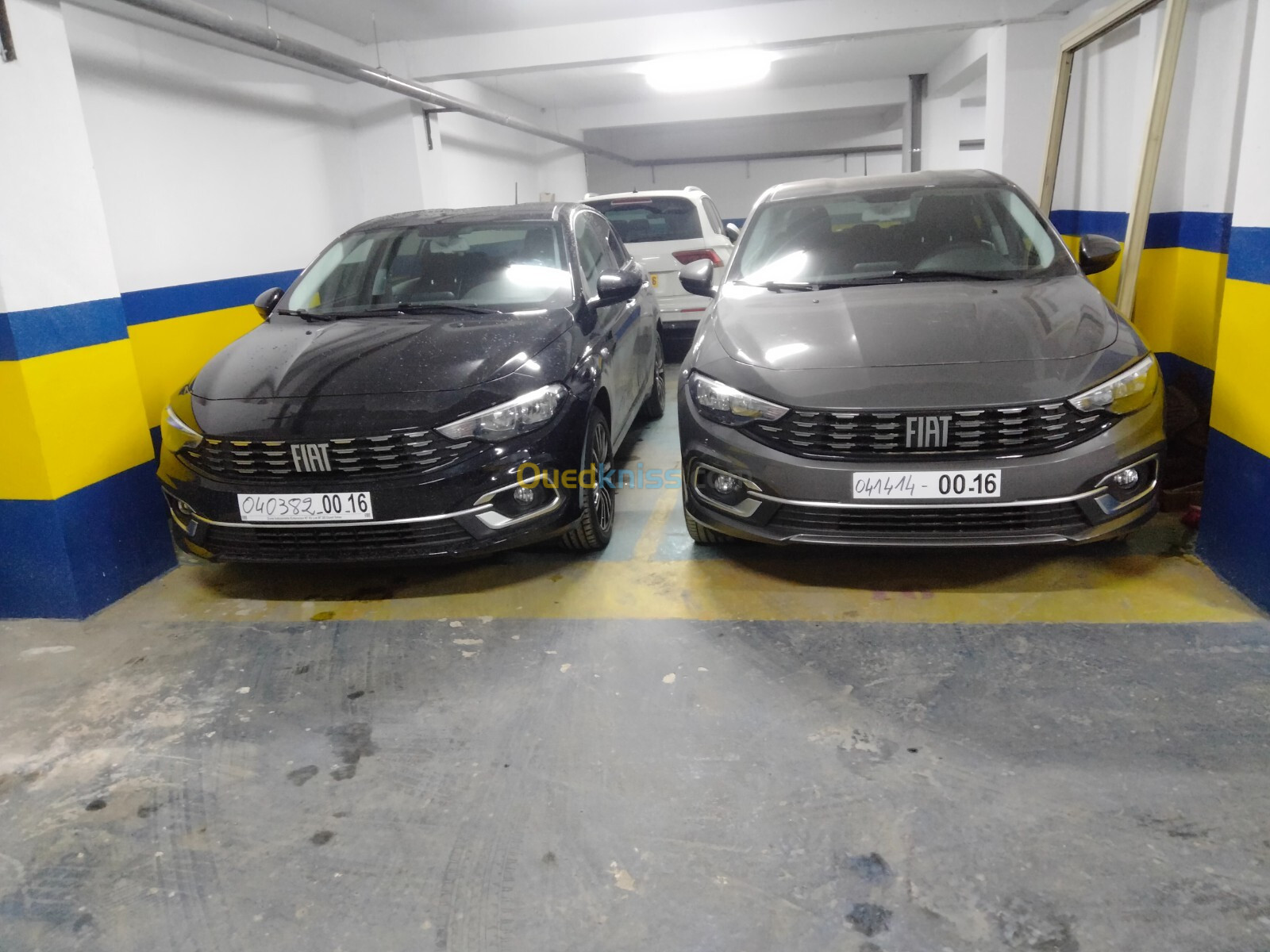 Fiat Tipo 2024 Urban +