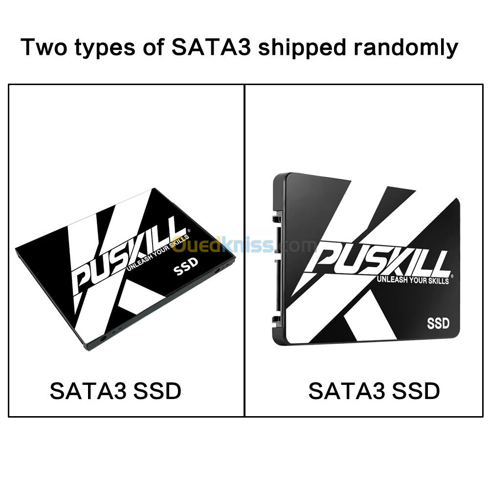 SSD SATA 1 To PUSKILL