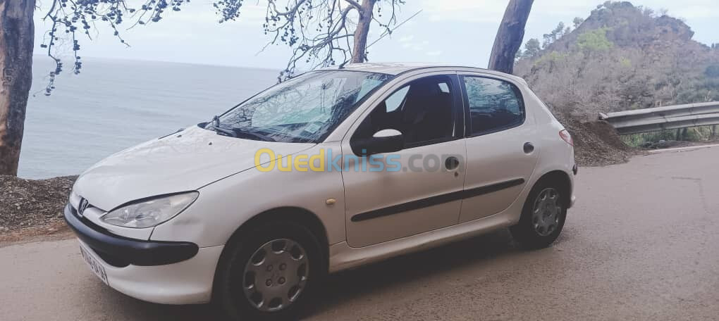 Peugeot 206 2004 206