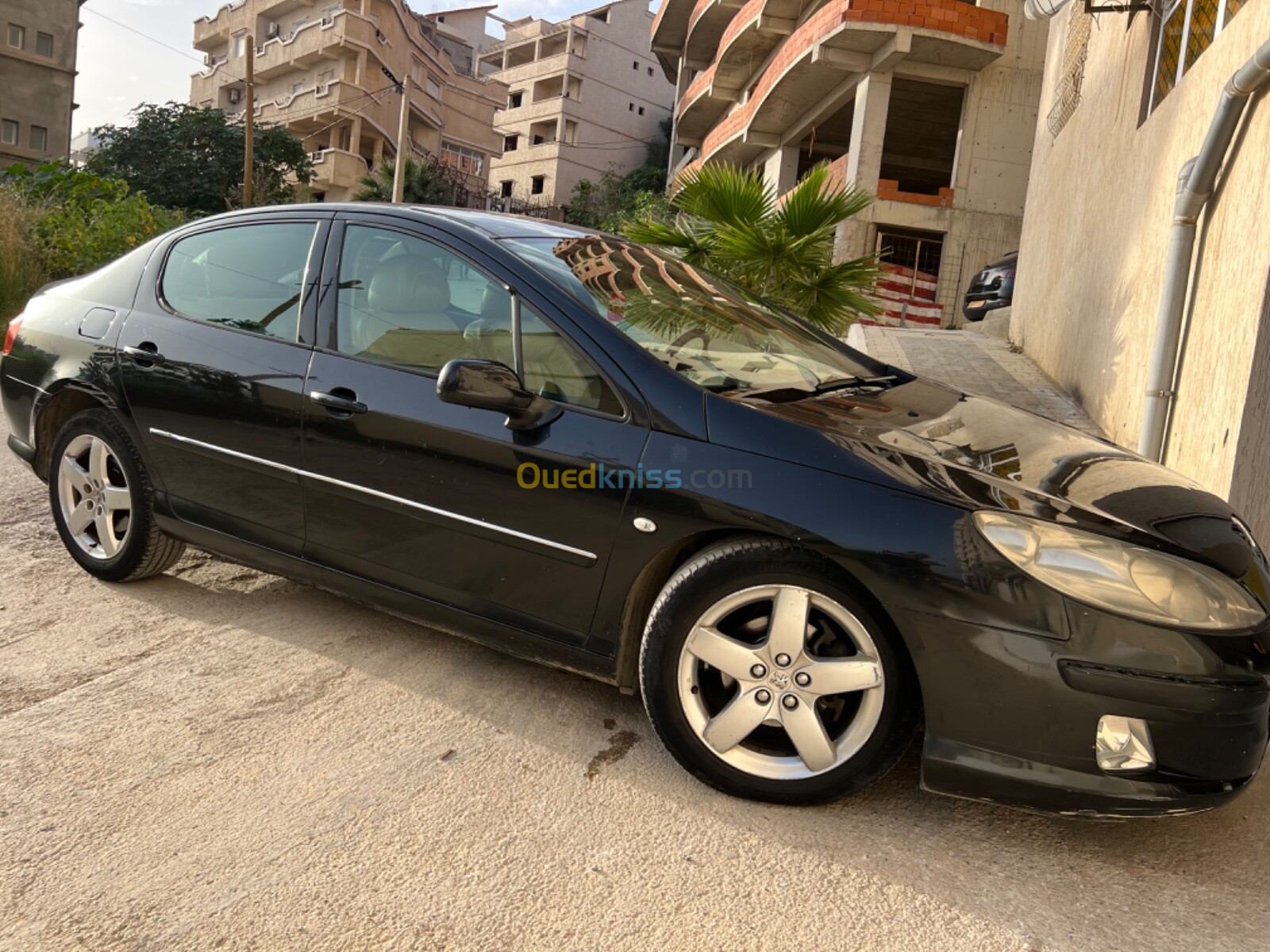 Peugeot 407 2005 407