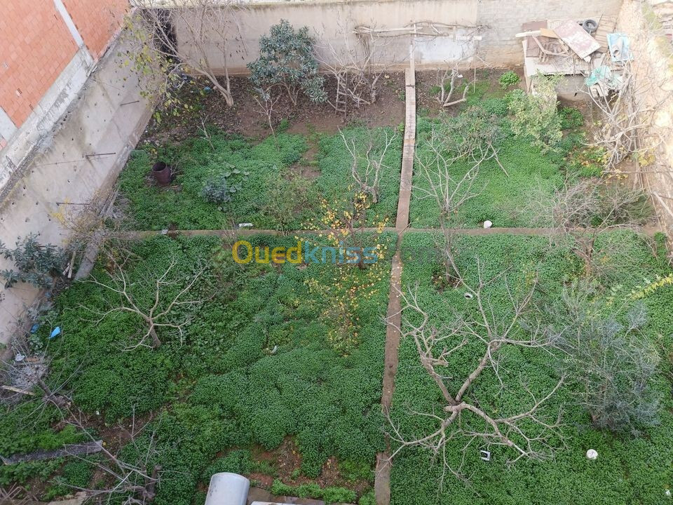 Vente Villa Oran Bir el djir