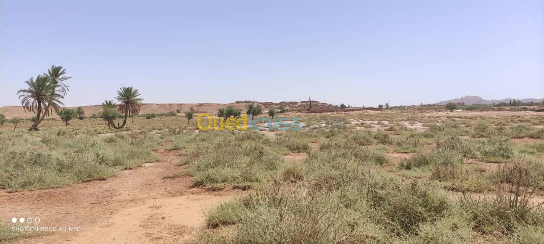 Vente Terrain Agricole El bayadh Ghassoul