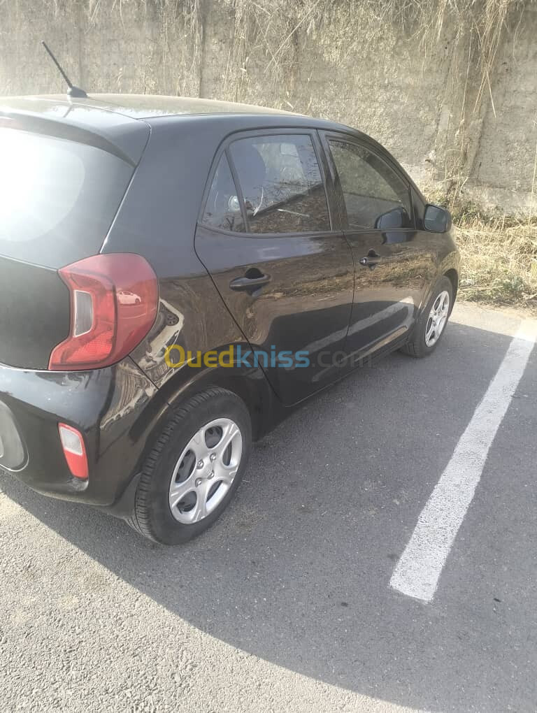 Kia Picanto 2019 Funny