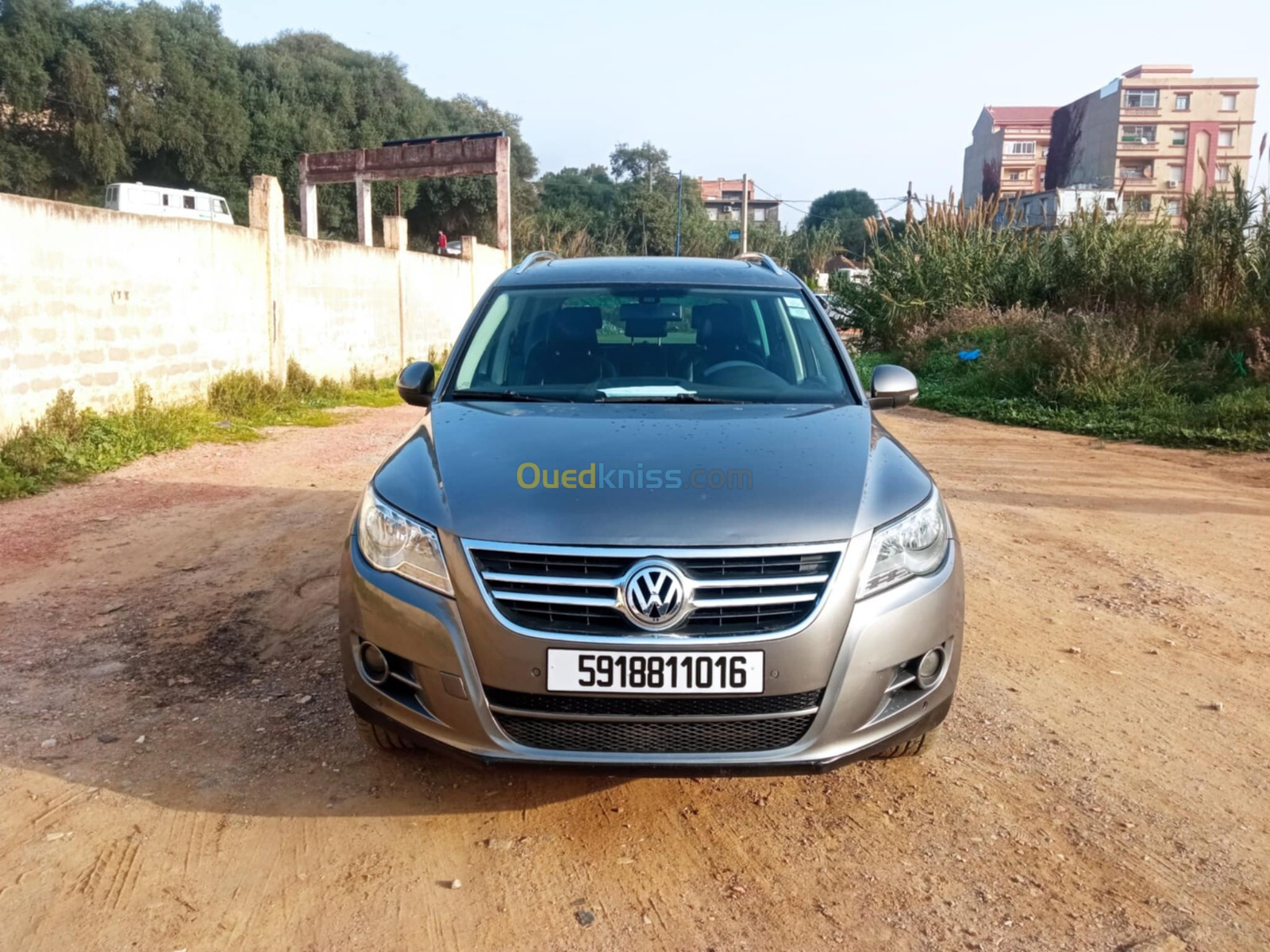 Volkswagen Tiguan 2010 Carat+