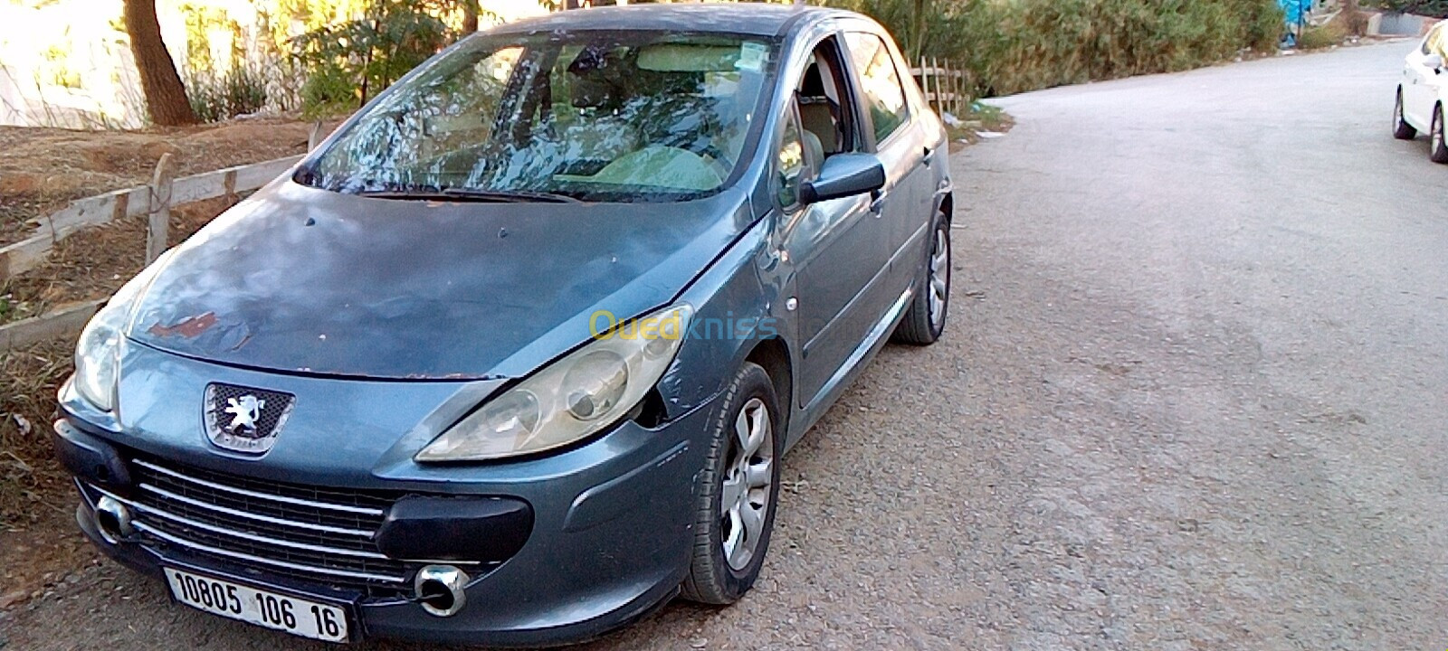 Peugeot 307 2006 Oxygo