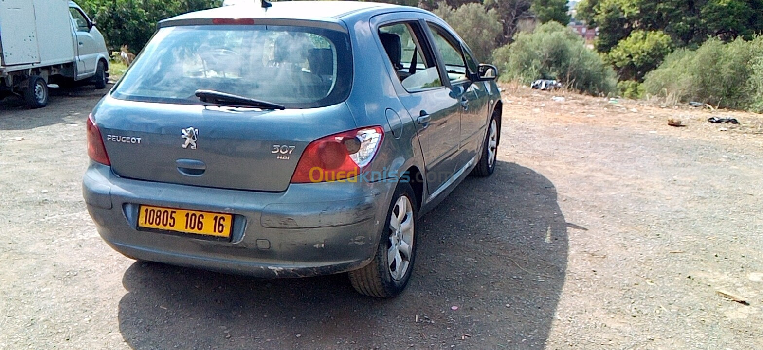 Peugeot 307 2006 Oxygo