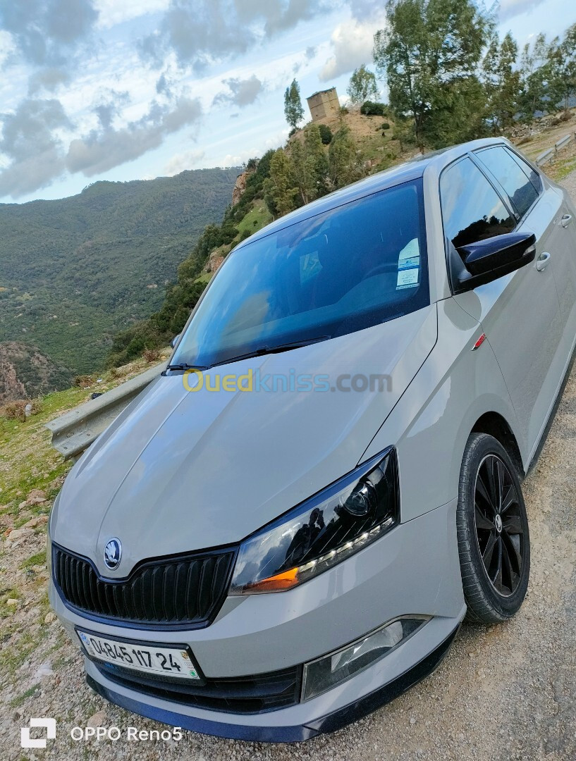 Skoda Fabia 2017 Monte Carlo