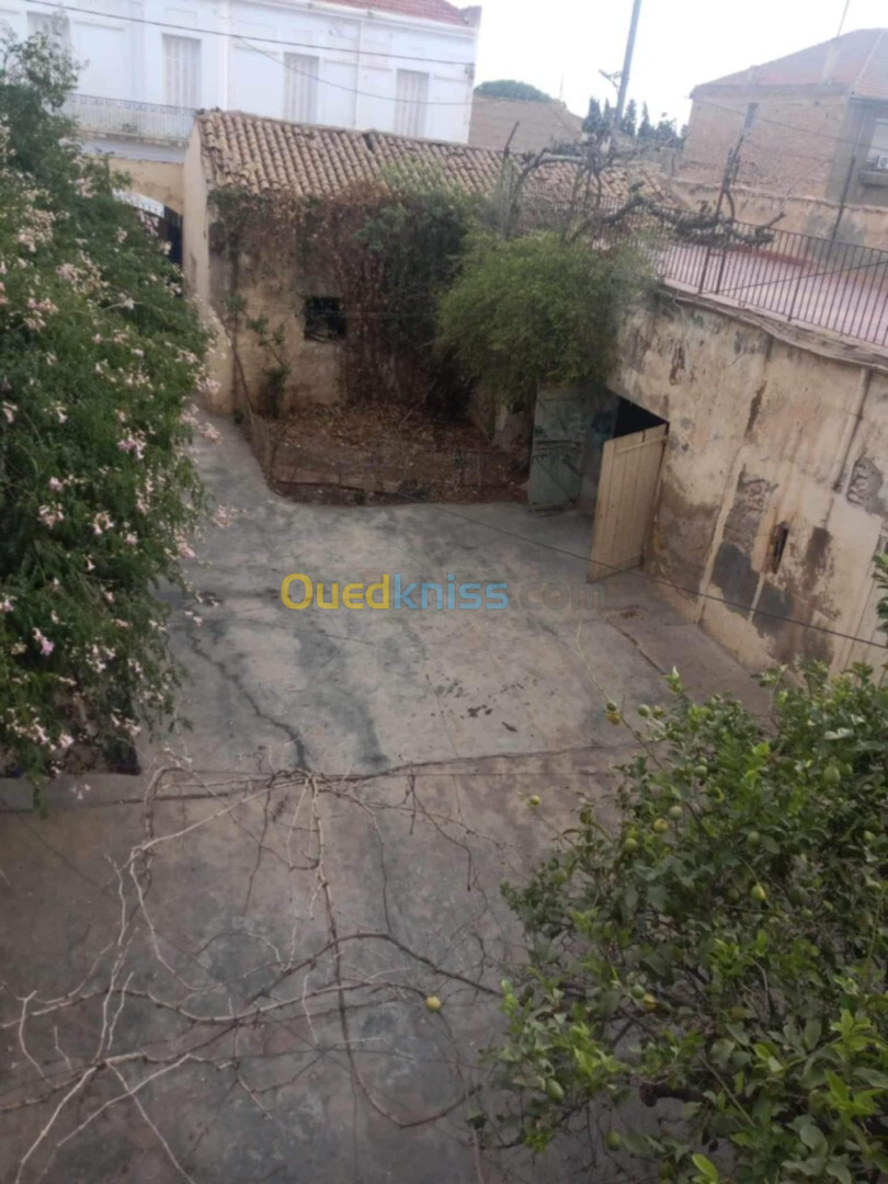 Vente Niveau De Villa F17 Aïn Témouchent Chaabet el ham