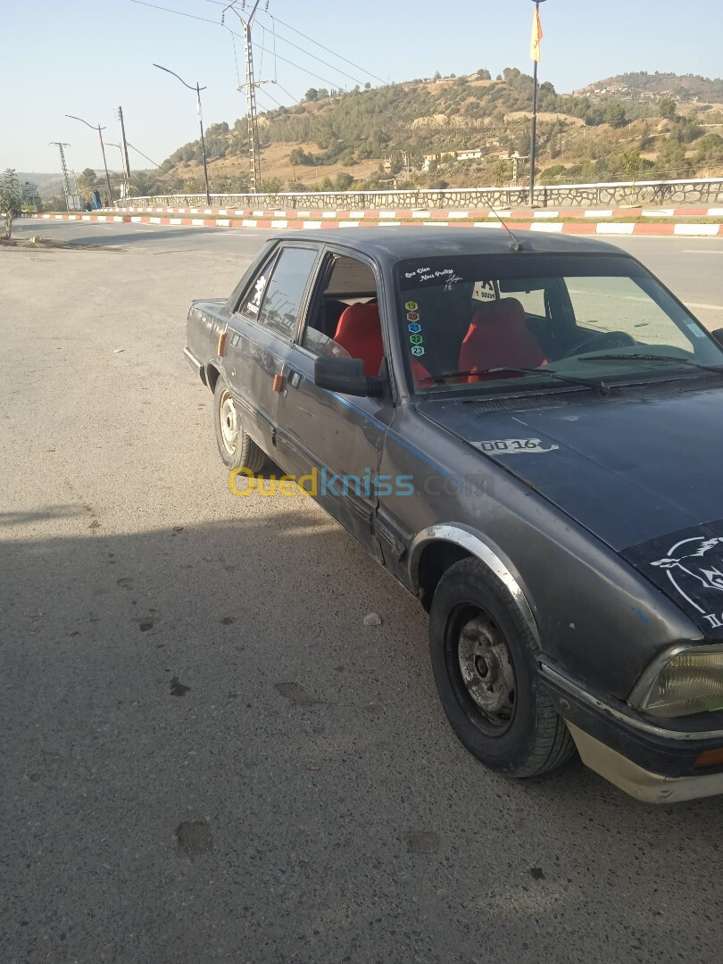 Peugeot 505 1991 505