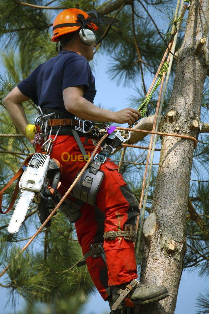  Aménagement Des Espaces Verts, desherbage elagage