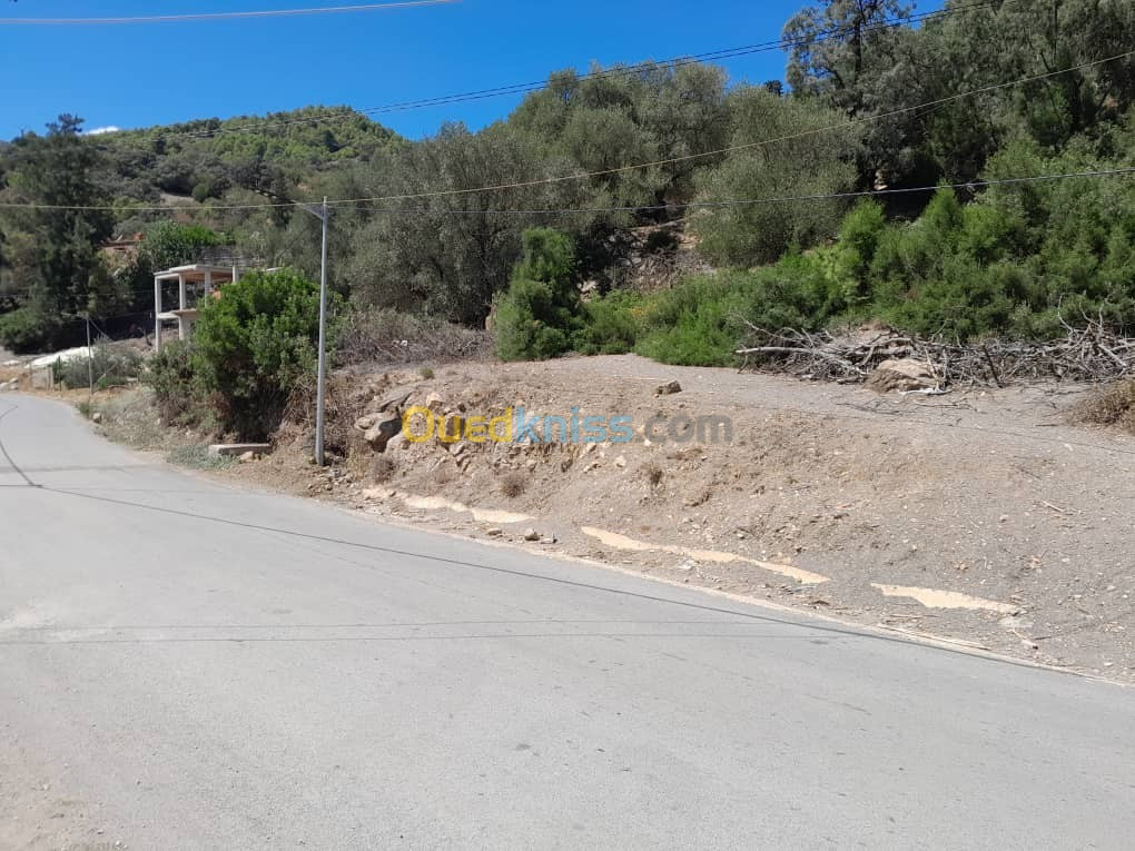 Vente Terrain Tipaza Larhat