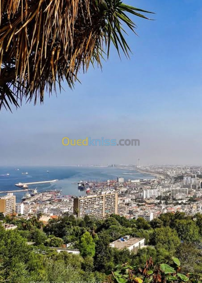 Vente Terrain Alger El biar