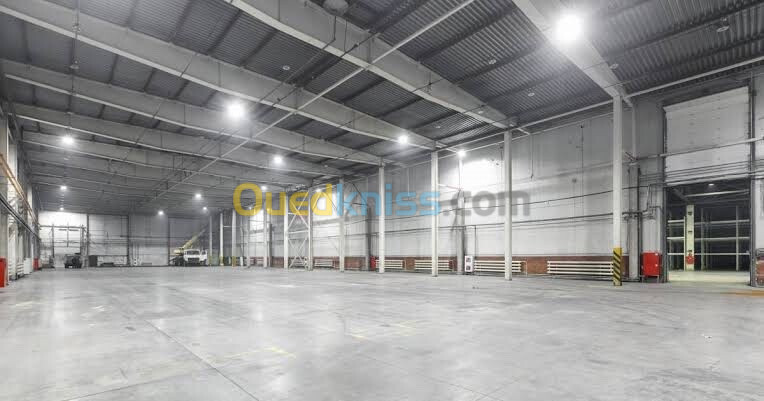 Location Hangar Alger Les eucalyptus