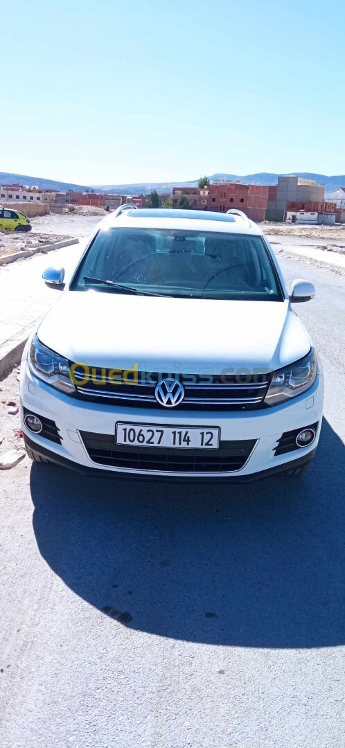 Volkswagen Tiguan 2014 cup