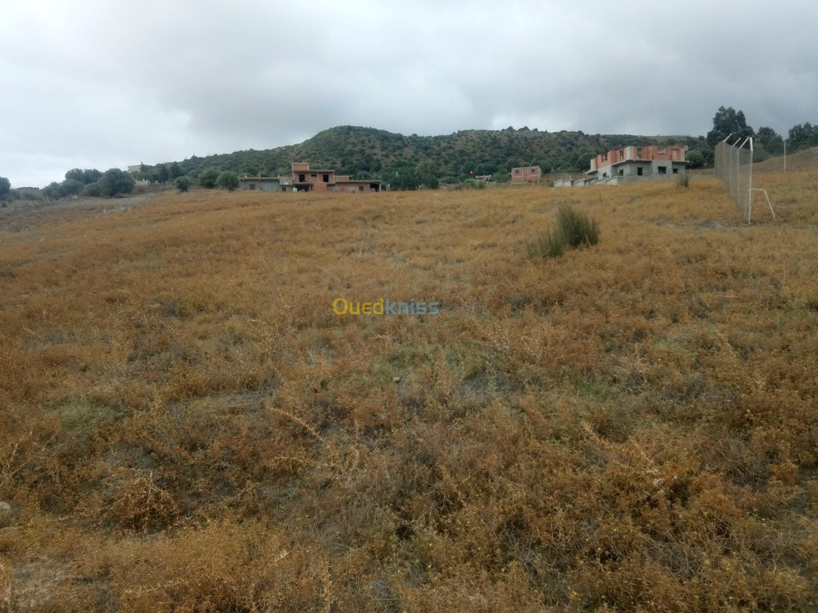 Vente Terrain Blida Djebara