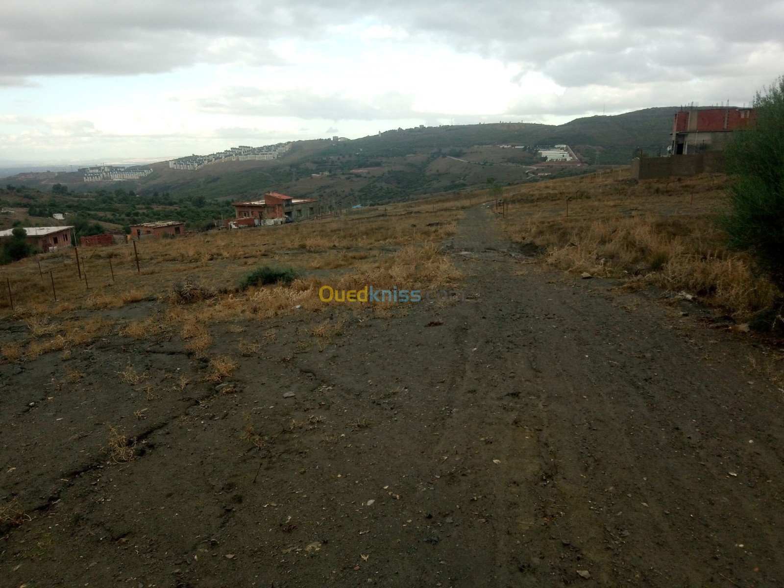 Vente Terrain Blida Djebara