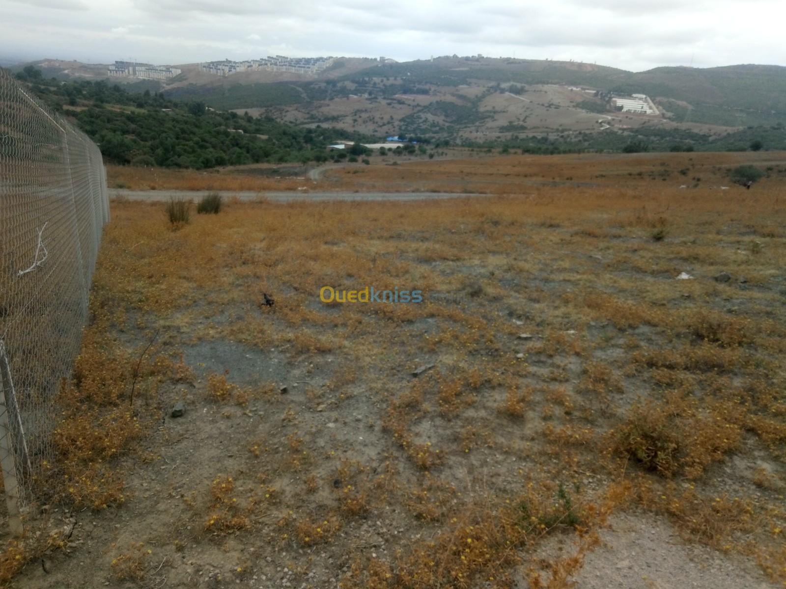 Vente Terrain Blida Djebara